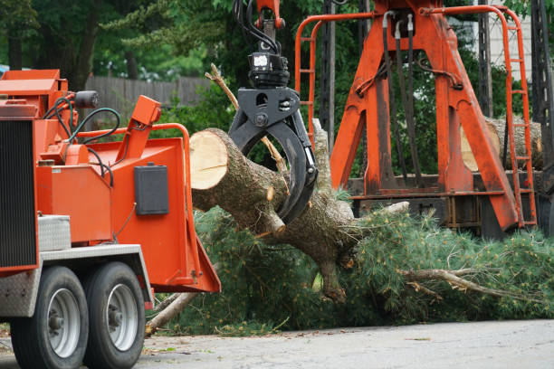 Lawn Watering Services in Oxford, MS